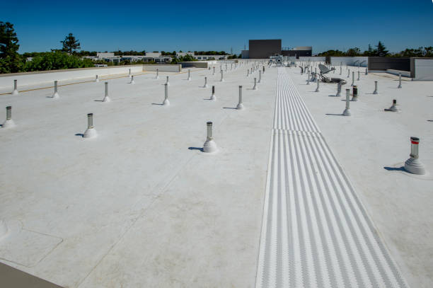 Best Roof Coating and Sealing  in Bosque Farms, NM